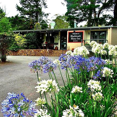 Blackheath Motor Inn Εξωτερικό φωτογραφία